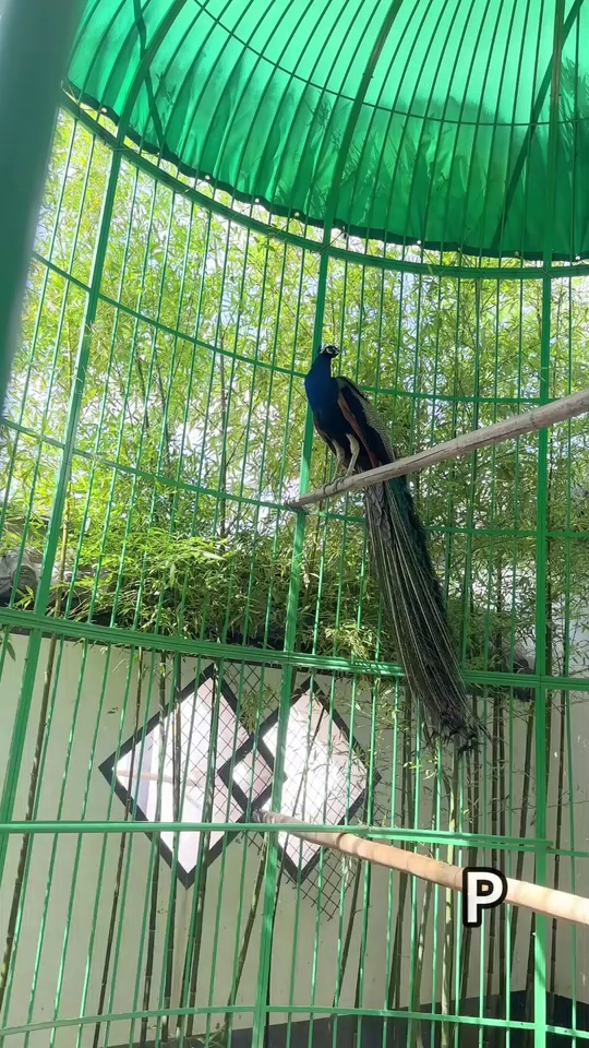 上册就要写不少_5