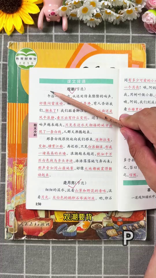 上册语文要背诵_27